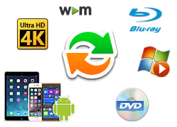 conveting video to AVI VOB MKV MOV WEBM DVD and more