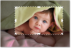 Crop tim and merge video file