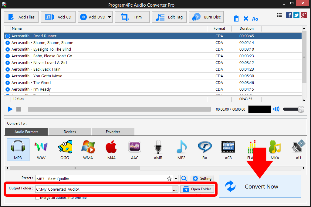 Start converting audio CD tracks