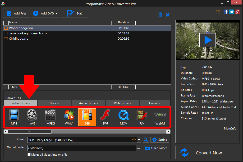 Select 3GP file format and convert it