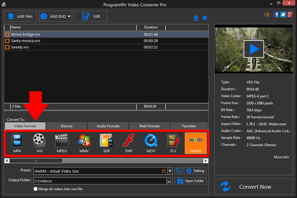Select WEBM file format and convert it